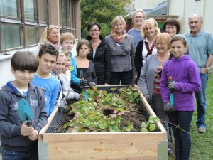 Soroptimistinnen bauen mit VS Kindern ein Hochbeet